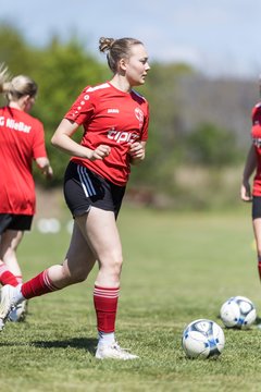 Bild 12 - F SG NieBar - IF Stjernen Flensborg : Ergebnis: 2:0